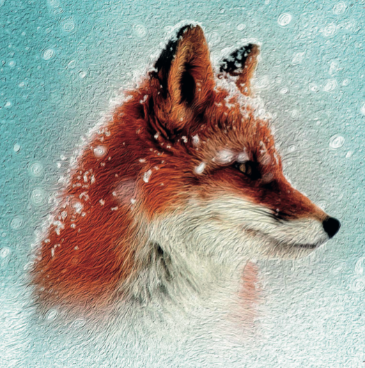 Red Fox Christmas Cards