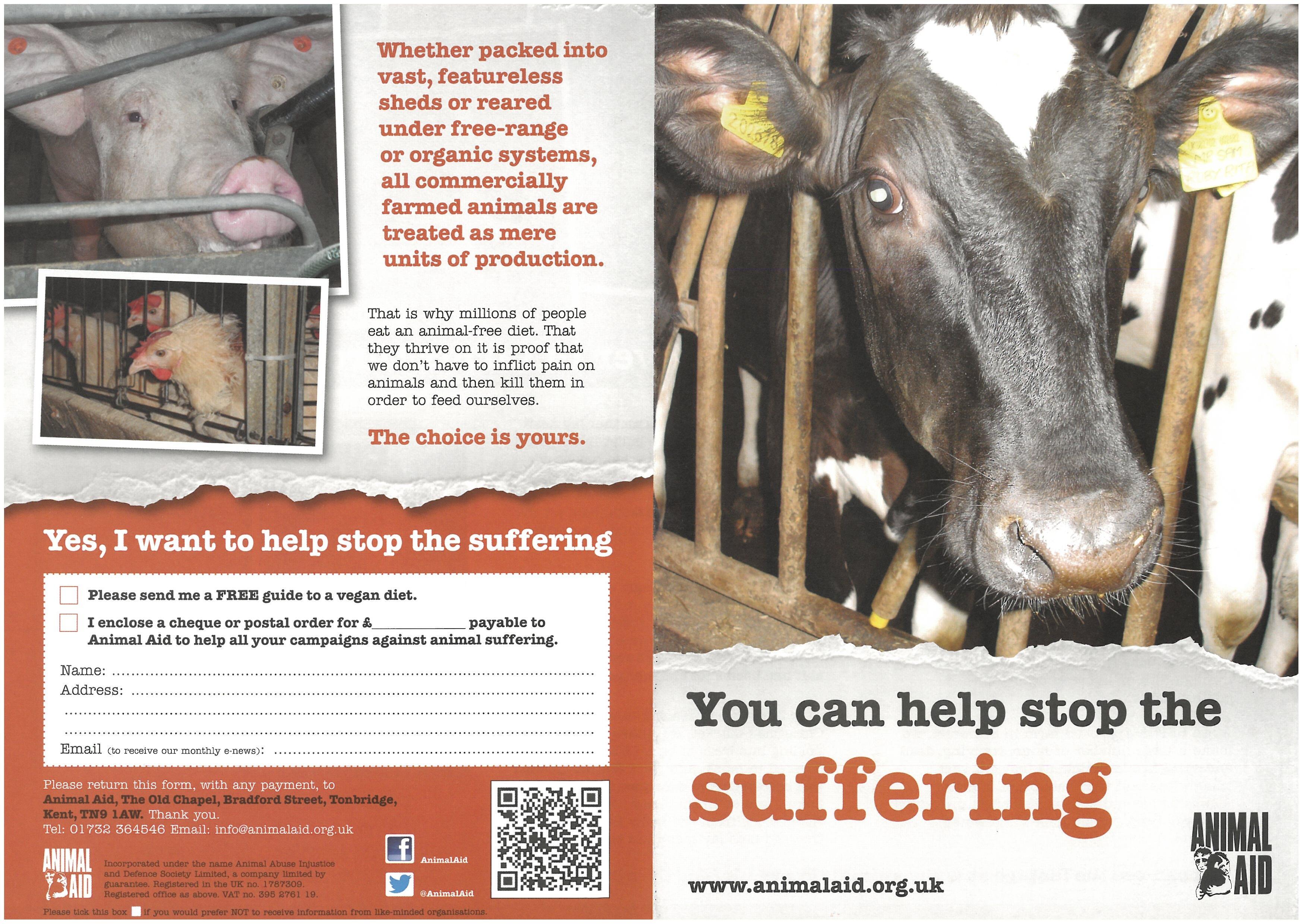 You Can Help Stop the Suffering