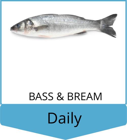 Bass & Sea Bream