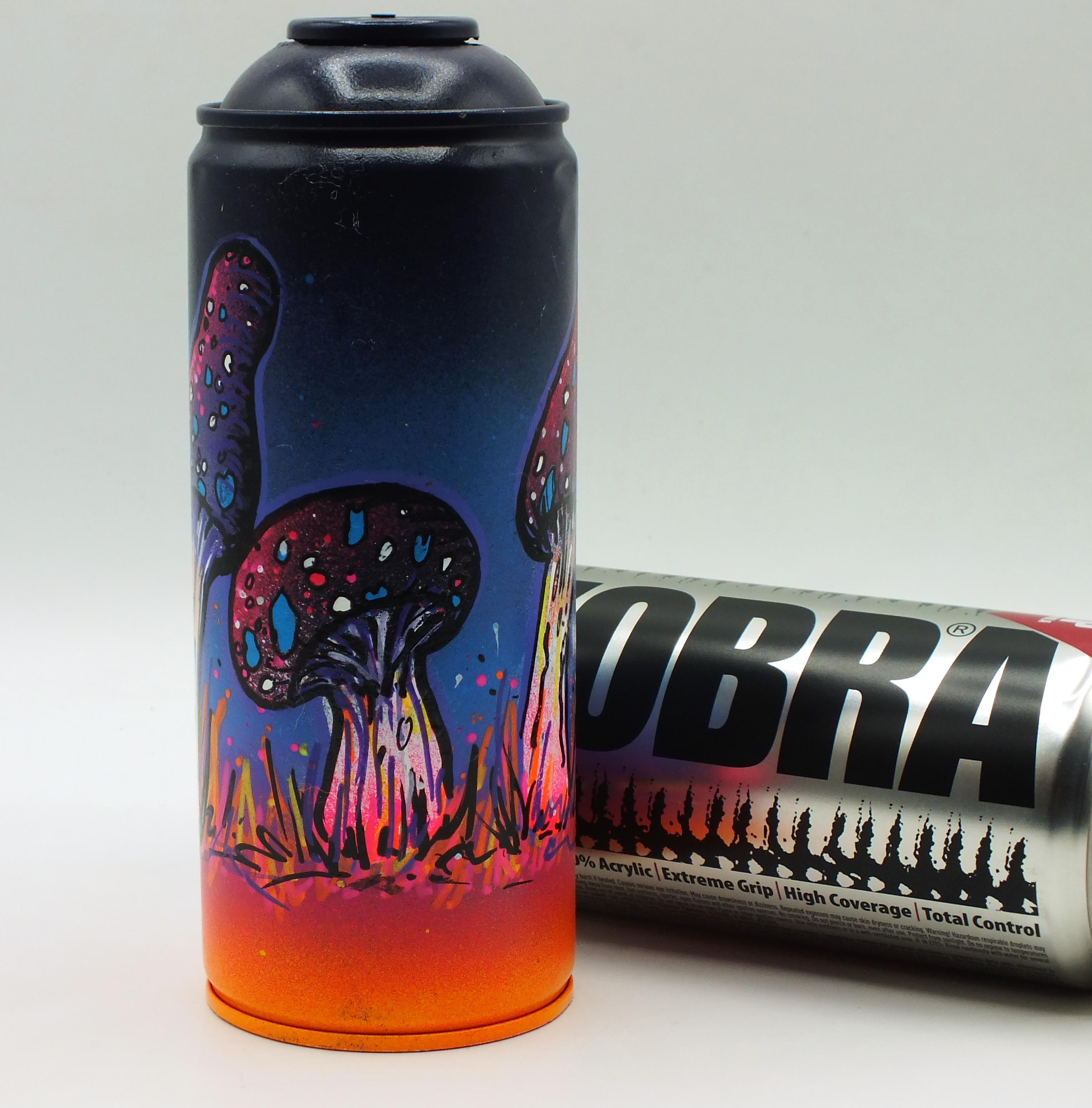 Magic Mushrooms (1) Up-cycled spray can bespoke art