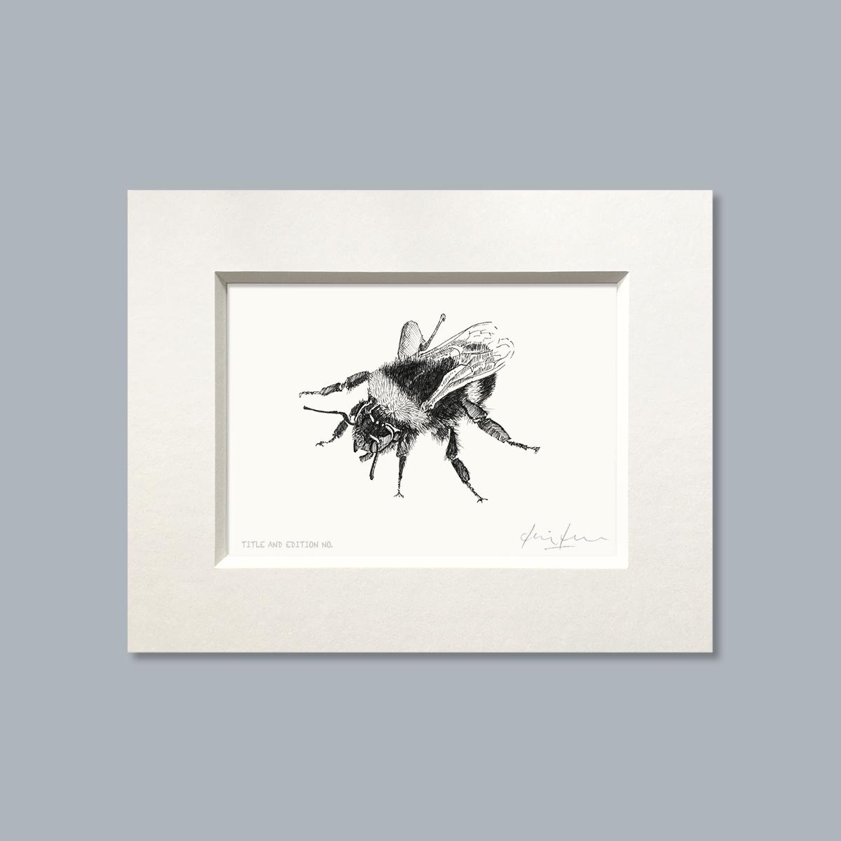 Limited edition print from pen and ink drawing of a bee in white mount