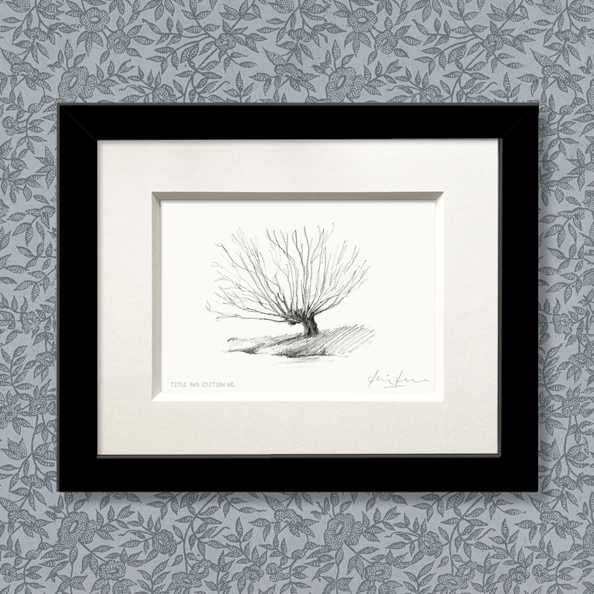 Limited edition print from pencil sketch of a willow tree in a black frame