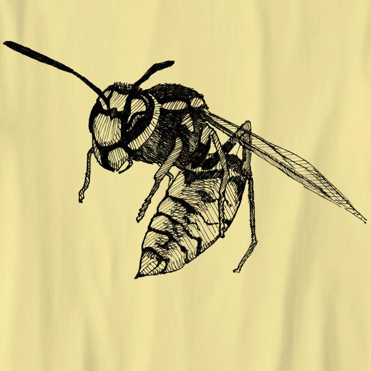 Wasp drawing in black