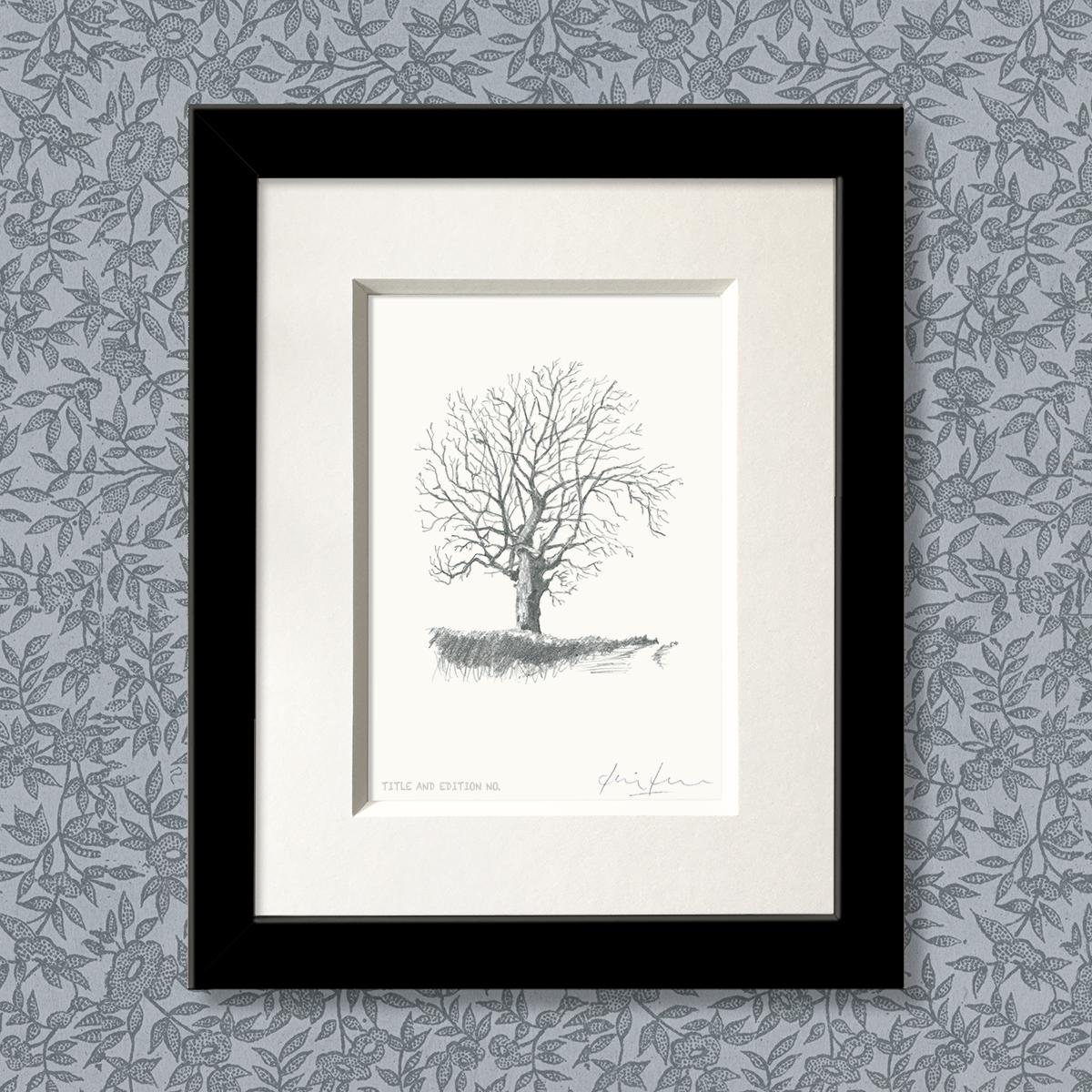Limited edition print from pencil sketch of a tree in a black frame