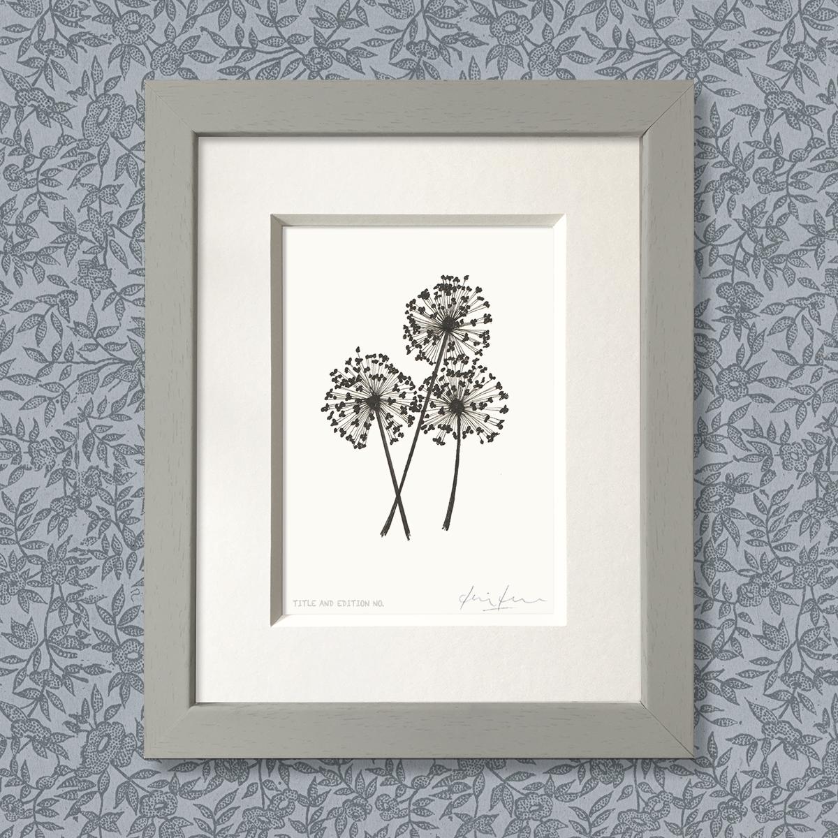 Limited edition print from pen and ink drawing of alliums in a grey frame