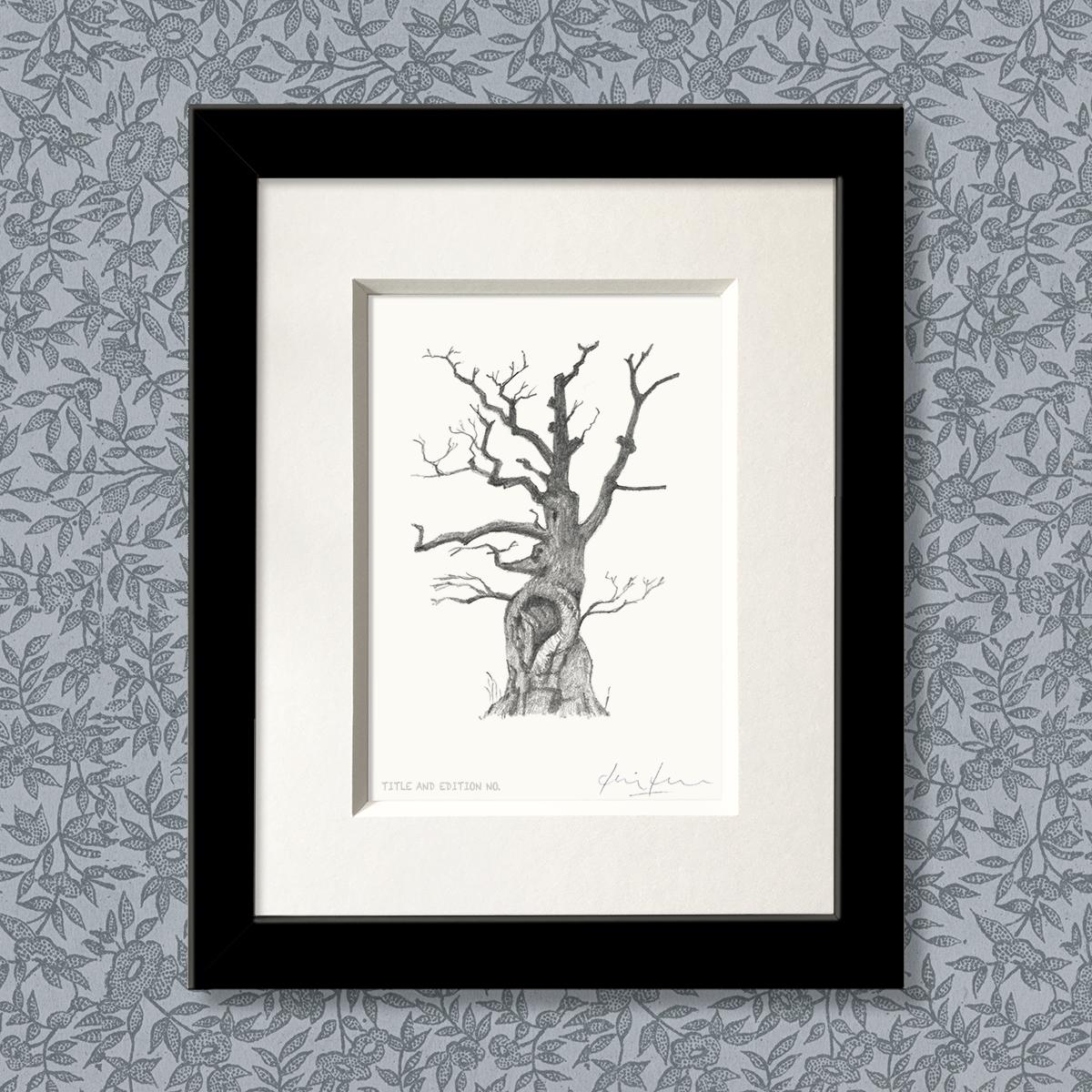 Limited edition print from pencil sketch of a tree in a black frame