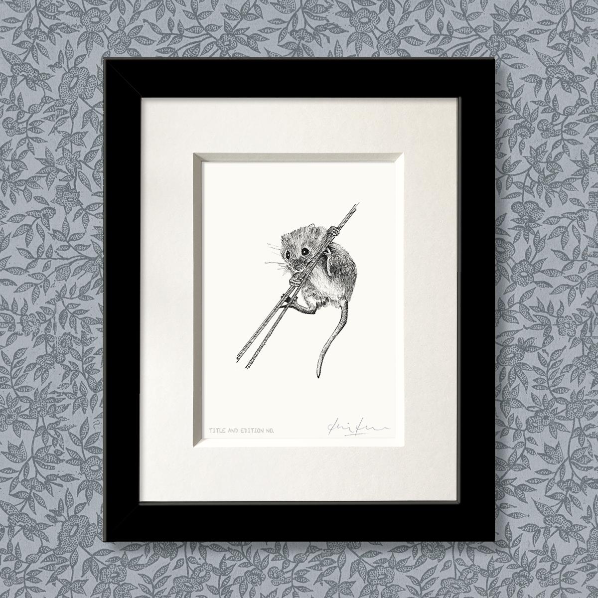 Limited edition print from pen and ink drawing of a harvest mouse in a black frame