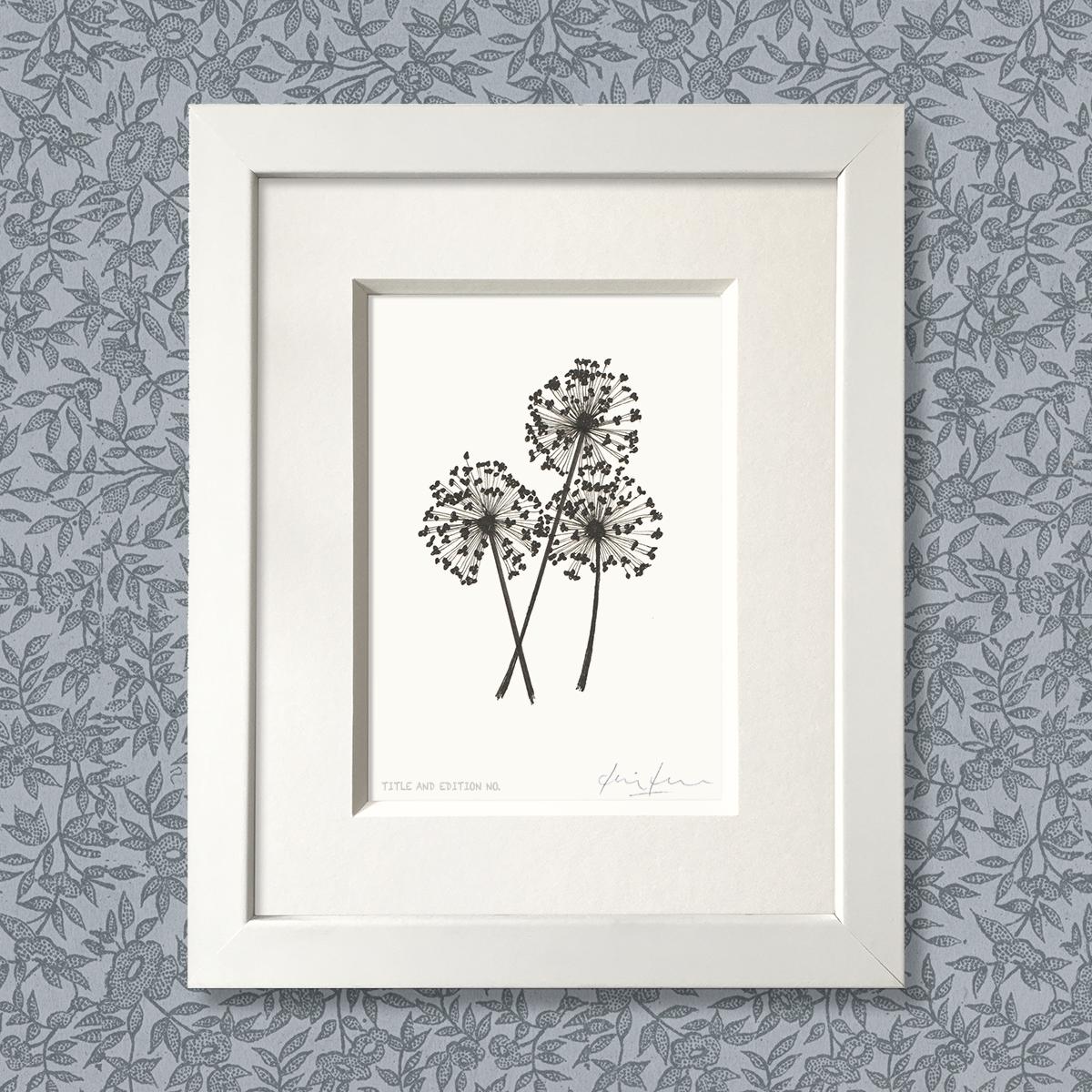 Limited edition print from pen and ink drawing of alliums in a white frame
