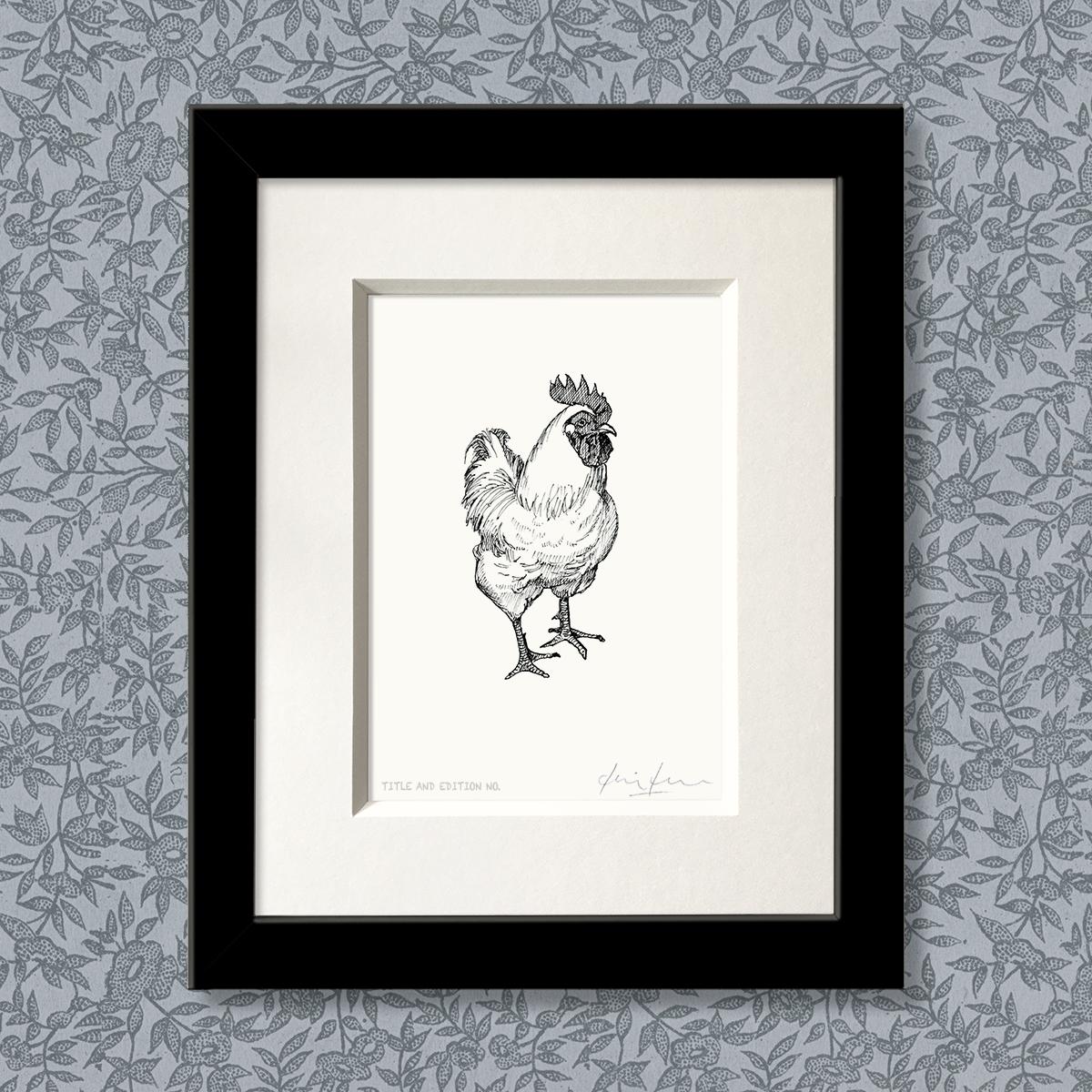 Limited edition print from pen and ink drawing of cockerel in black frame