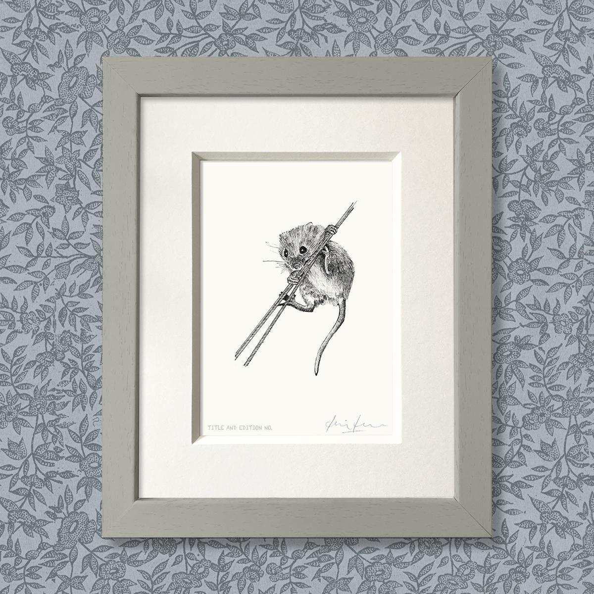 Limited edition print from pen and ink drawing of a harvest mouse in a grey frame