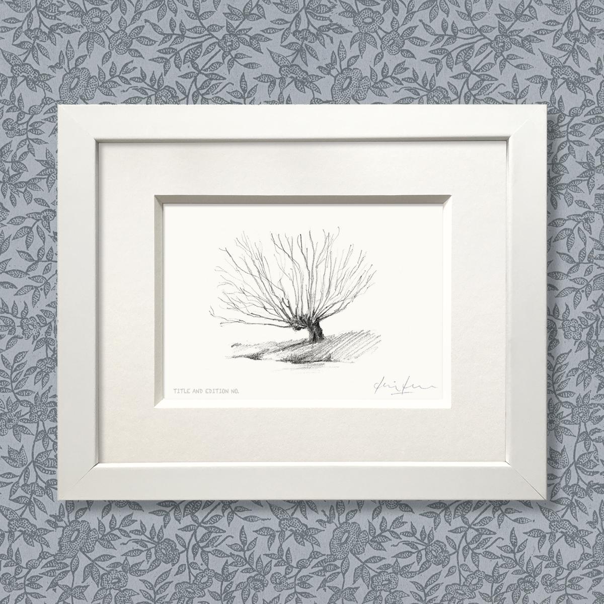 Limited edition print from pencil sketch of a willow tree in a white frame
