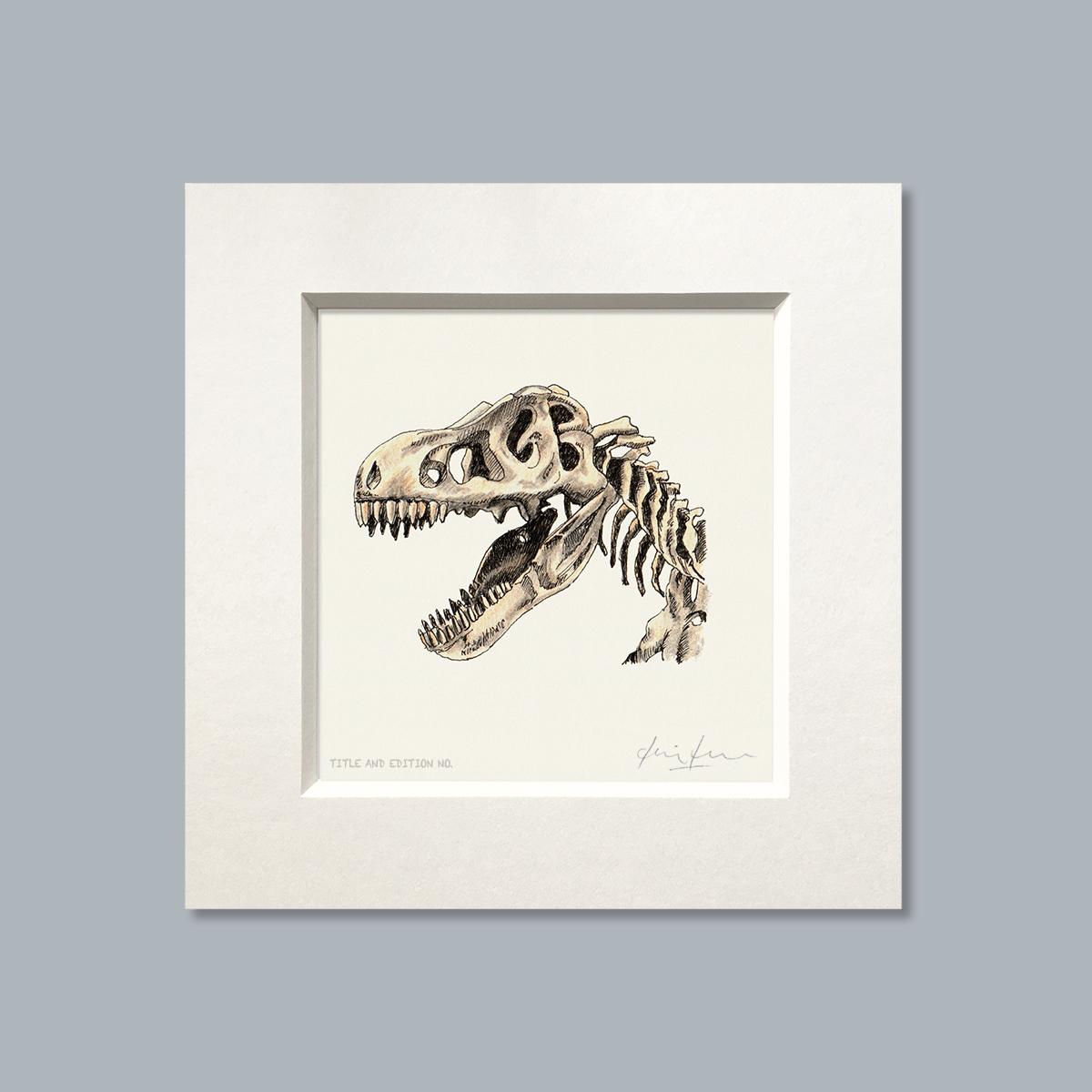 Limited edition print from pen & ink and coloured pencil drawing of a T Rex in a white mount