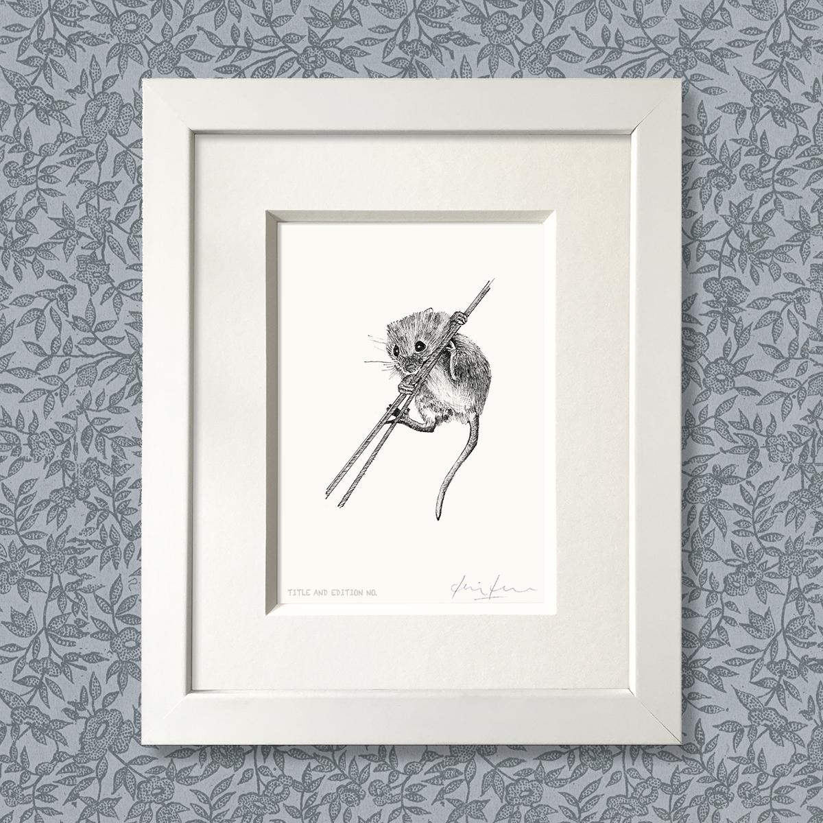 Limited edition print from pen and ink drawing of a harvest mouse in a white frame