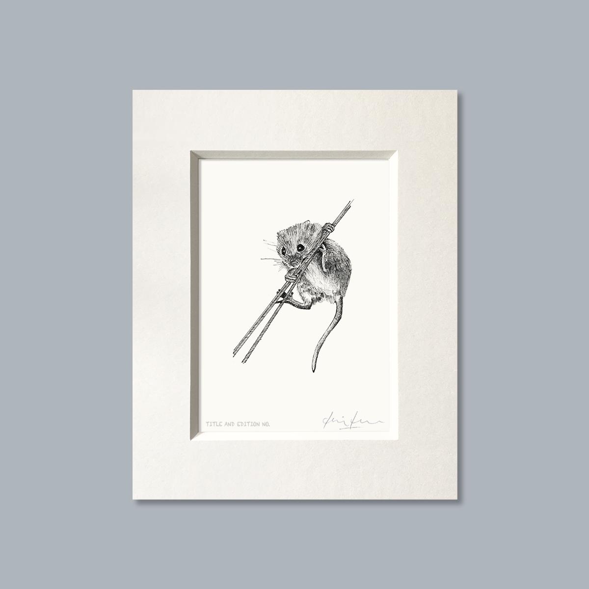 Limited edition print from pen and ink drawing of a harvest mouse, mounted