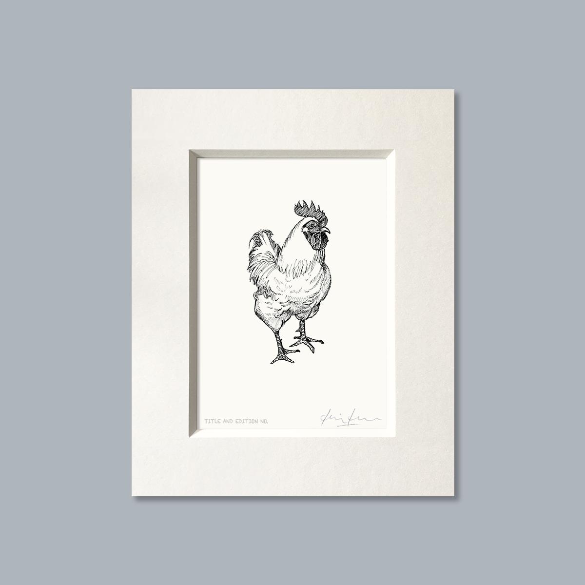 Limited edition print from pen and ink drawing of cockerel in white mount