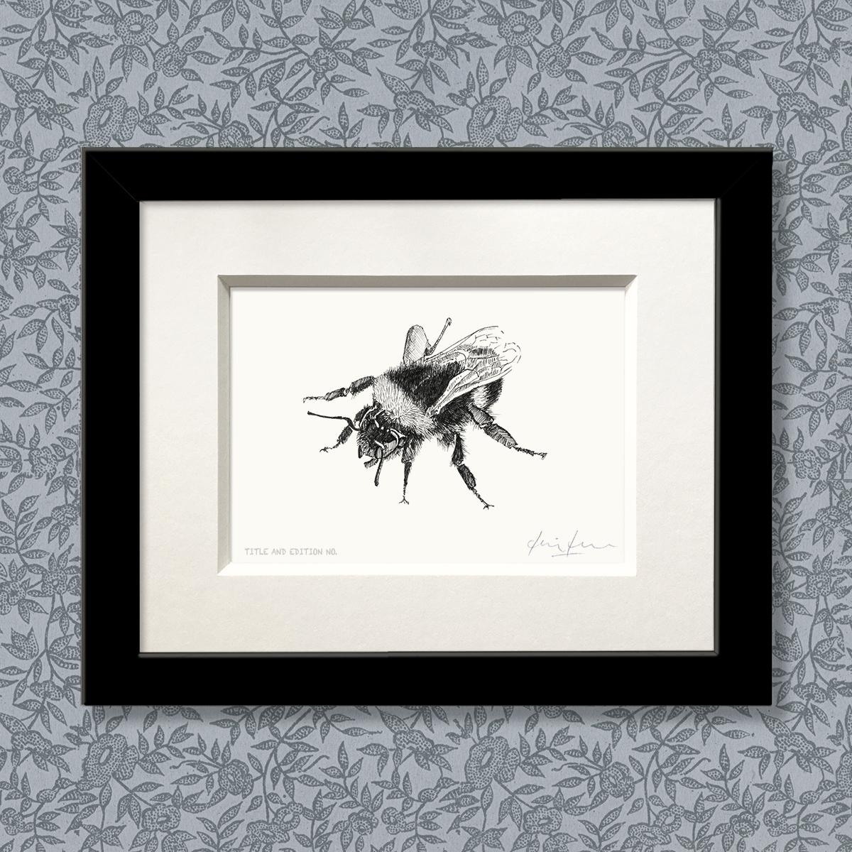 Limited edition print from pen and ink drawing of a bee in black frame