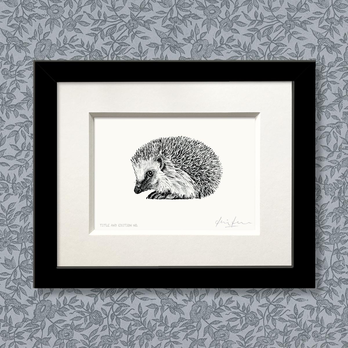 Limited edition print from pen and ink drawing of a hedgehog in a black frame