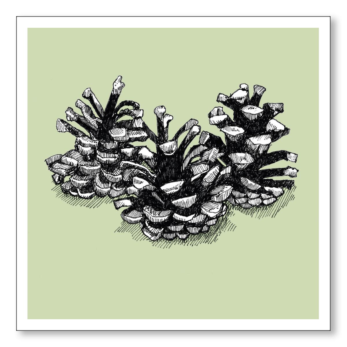 Christmas Cards 2021 - Pinecones