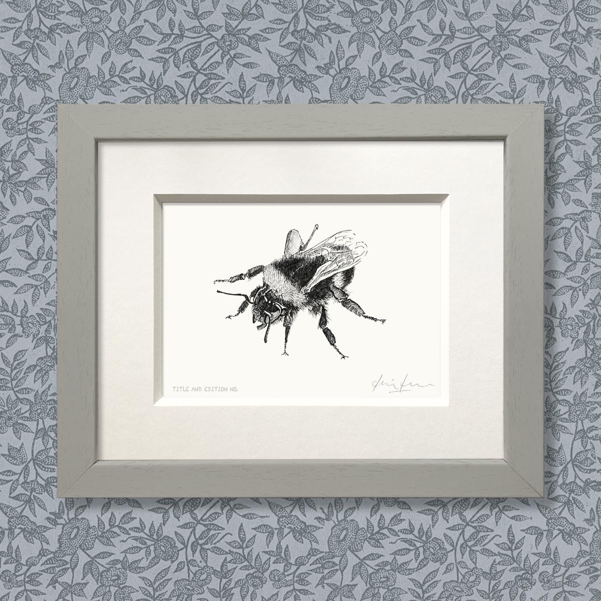 Limited edition print from pen and ink drawing of a bee in grey frame