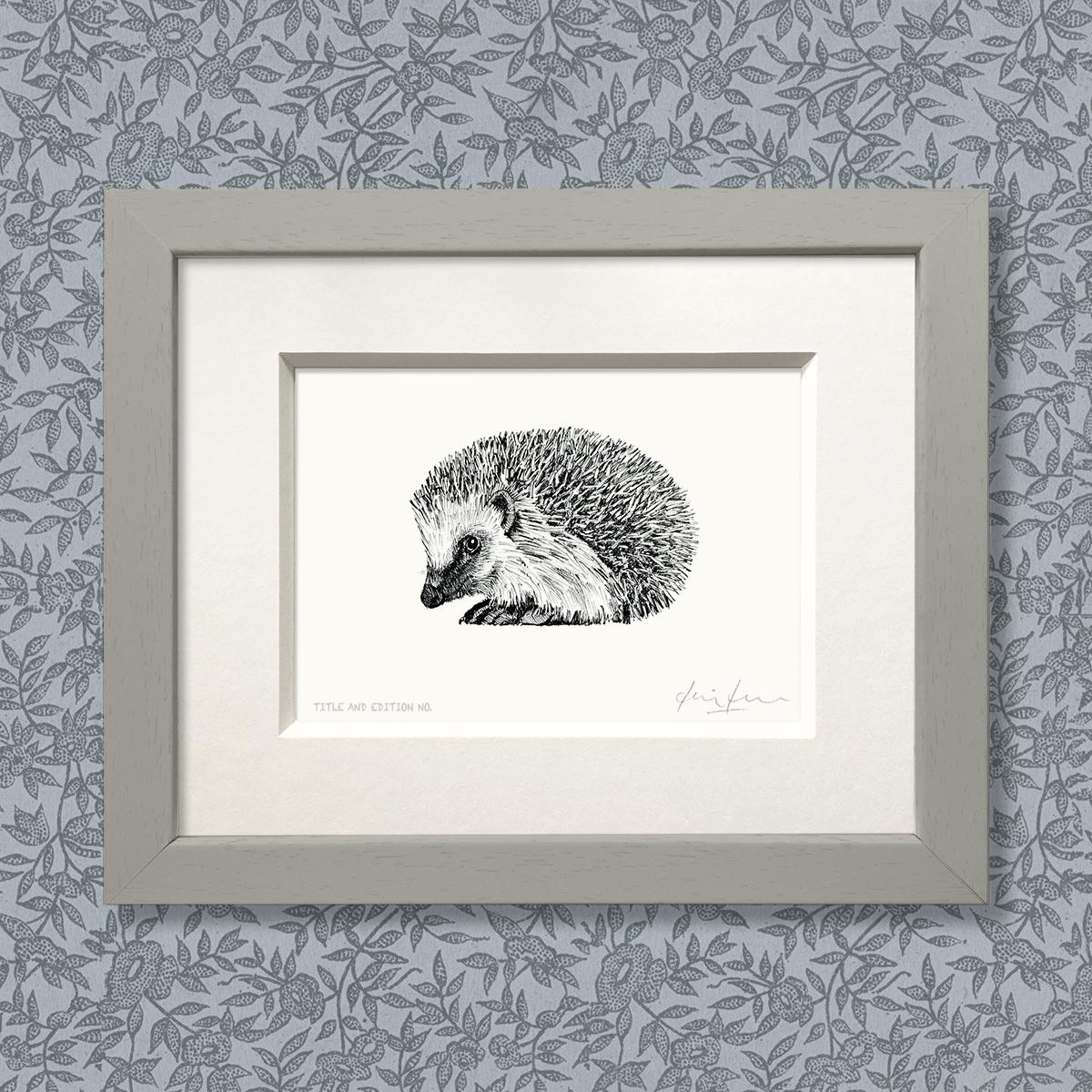 Limited edition print from pen and ink drawing of a hedgehog in a grey frame