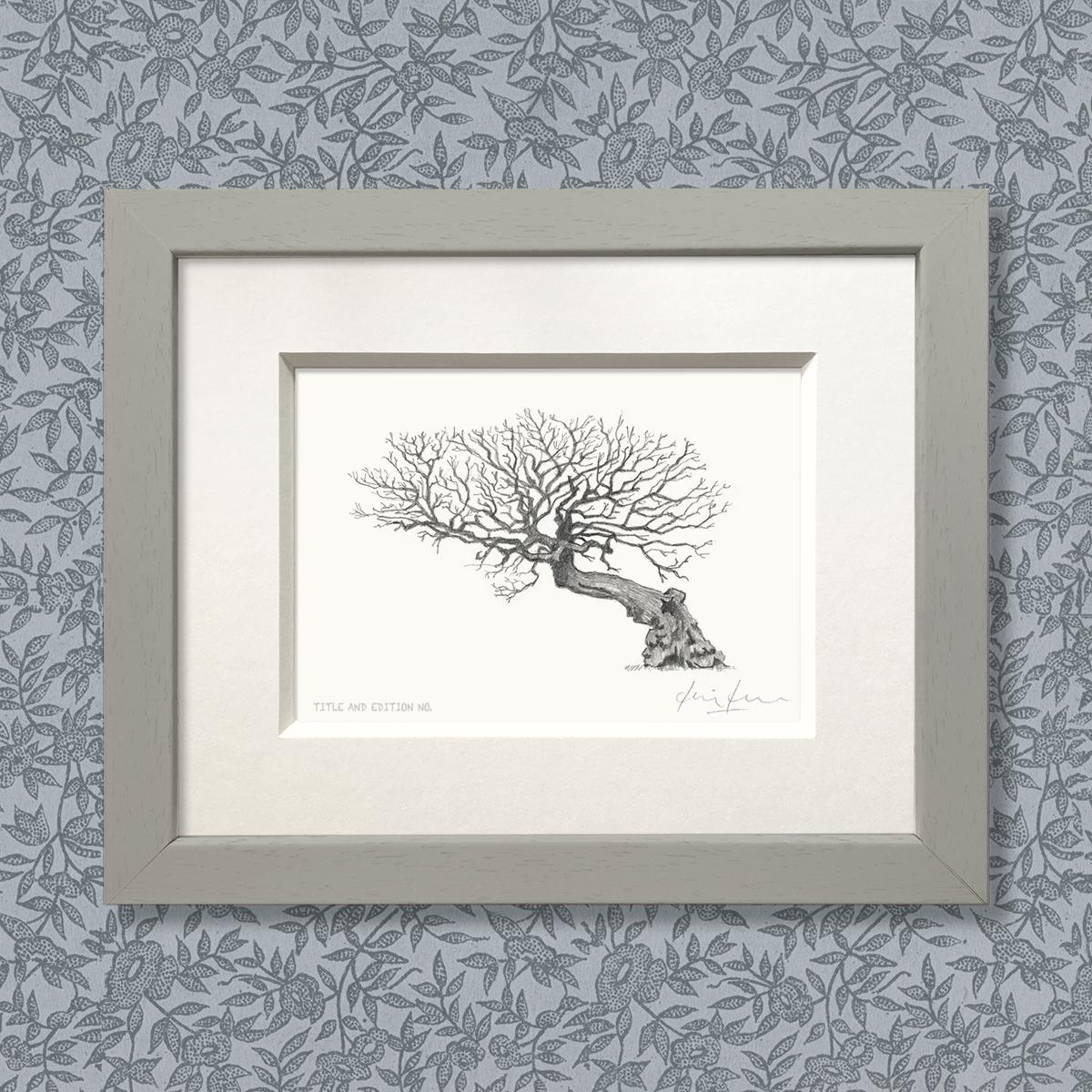 Limited edition print from pencil drawing of an old tree in a grey frame
