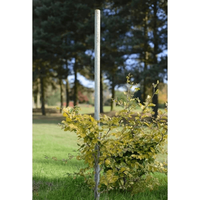 Machine Rounded Wooden Tree Stake - 150cm