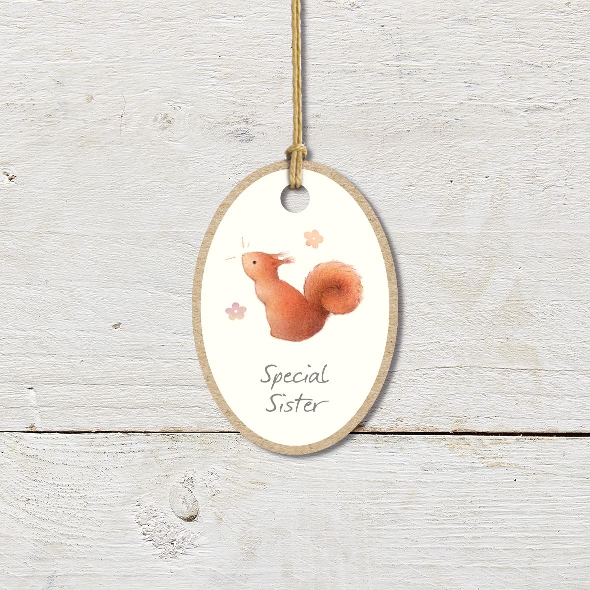Small Wooden Keepsake Plaque/Tag featuring a cute red squirrel with a ’Special Sister’ caption.