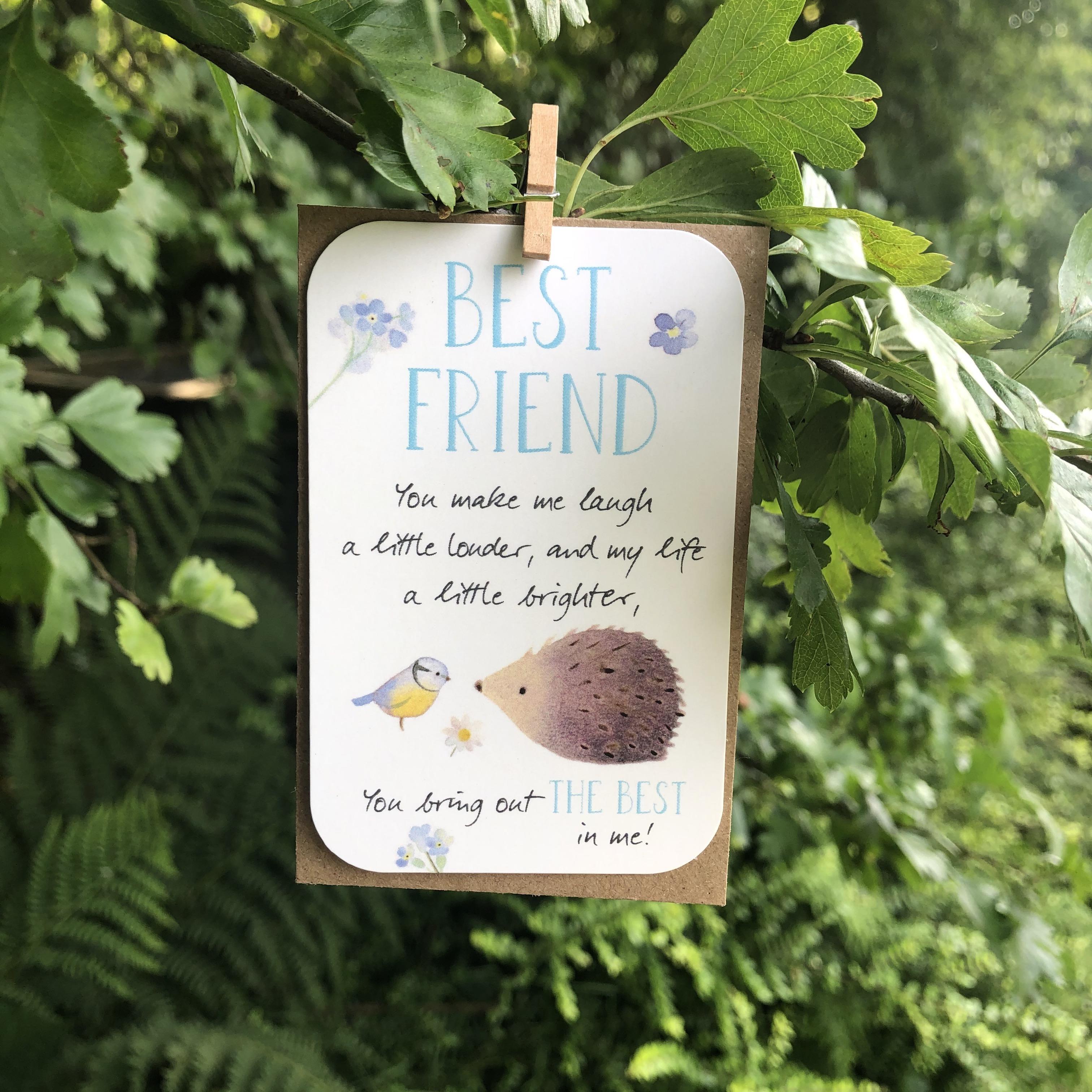 A small keepsake card with a 'Best Friend' caption, and lovely little verse