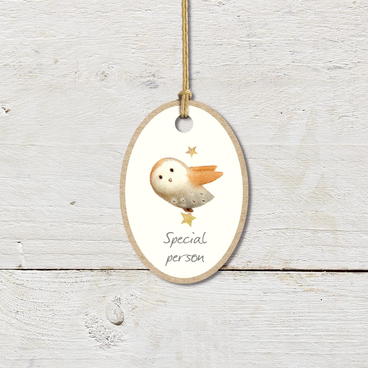Small Wooden Keepsake Plaque/Tag featuring a cute owl carrying a star with a ’Special Person’ caption.