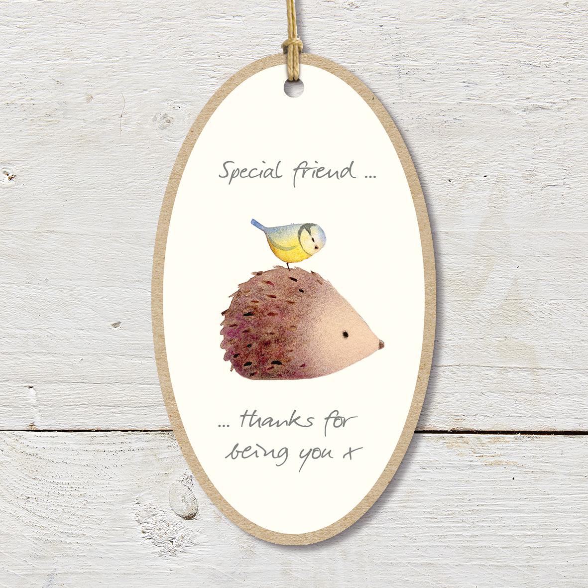 Large Wooden Plaque featuring a cute hedgehog and blue tit with a ’Special Friend… thanks for being you X’ caption.