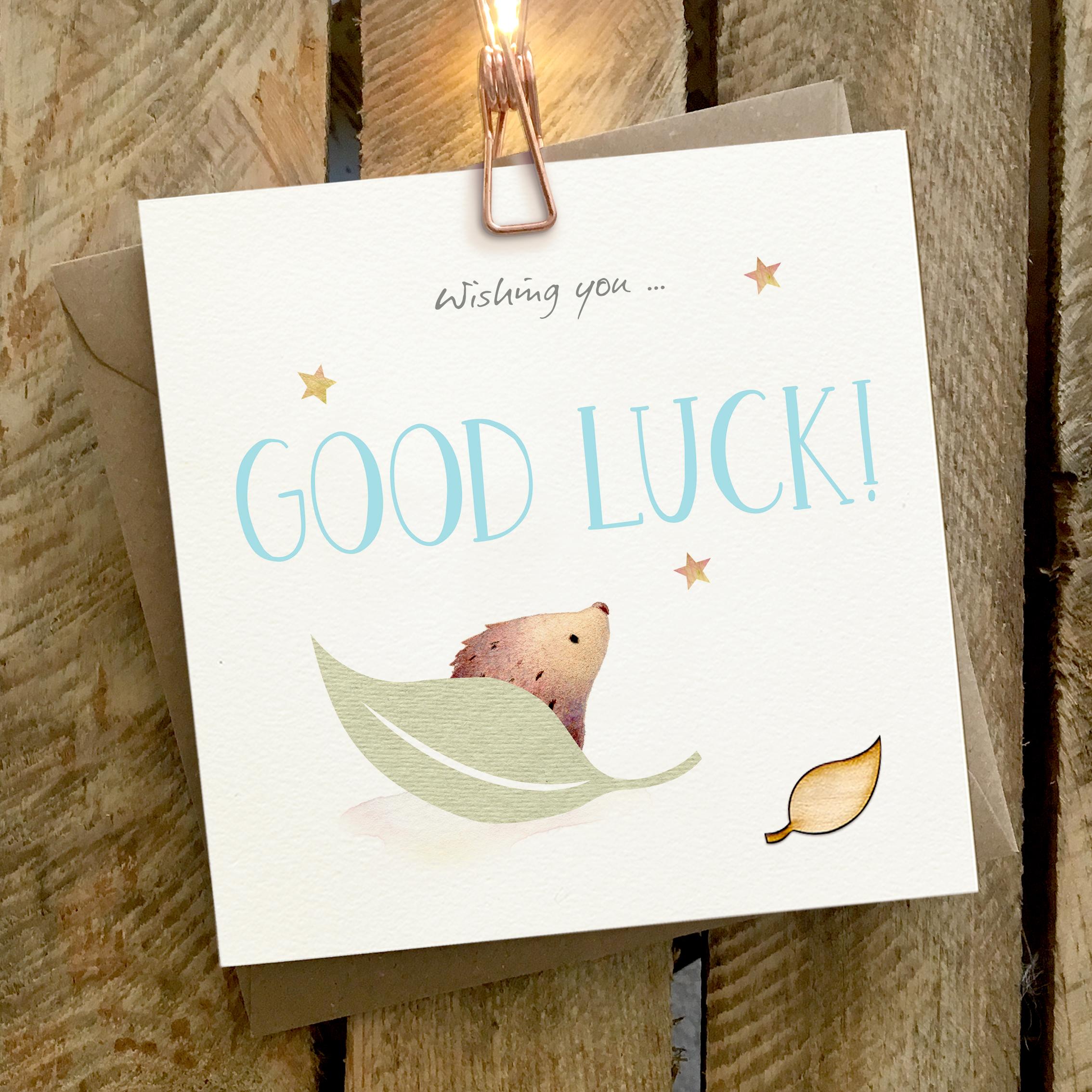 Card featuring a hedgehog floating on a large leaf with a large GOOD LUCK caption