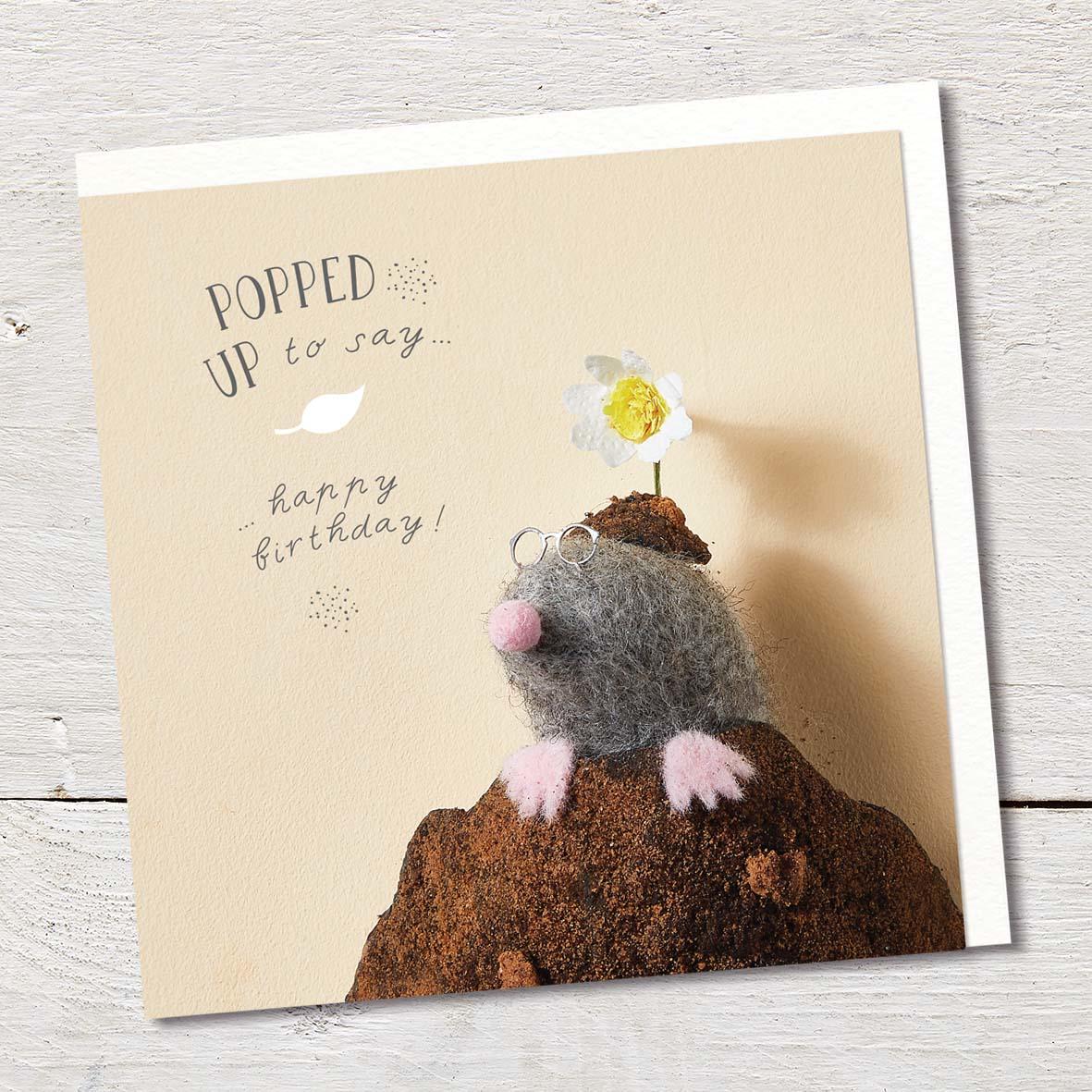Card featuring a cute felted mole poking his head out of a mole hill with a flower on his head.