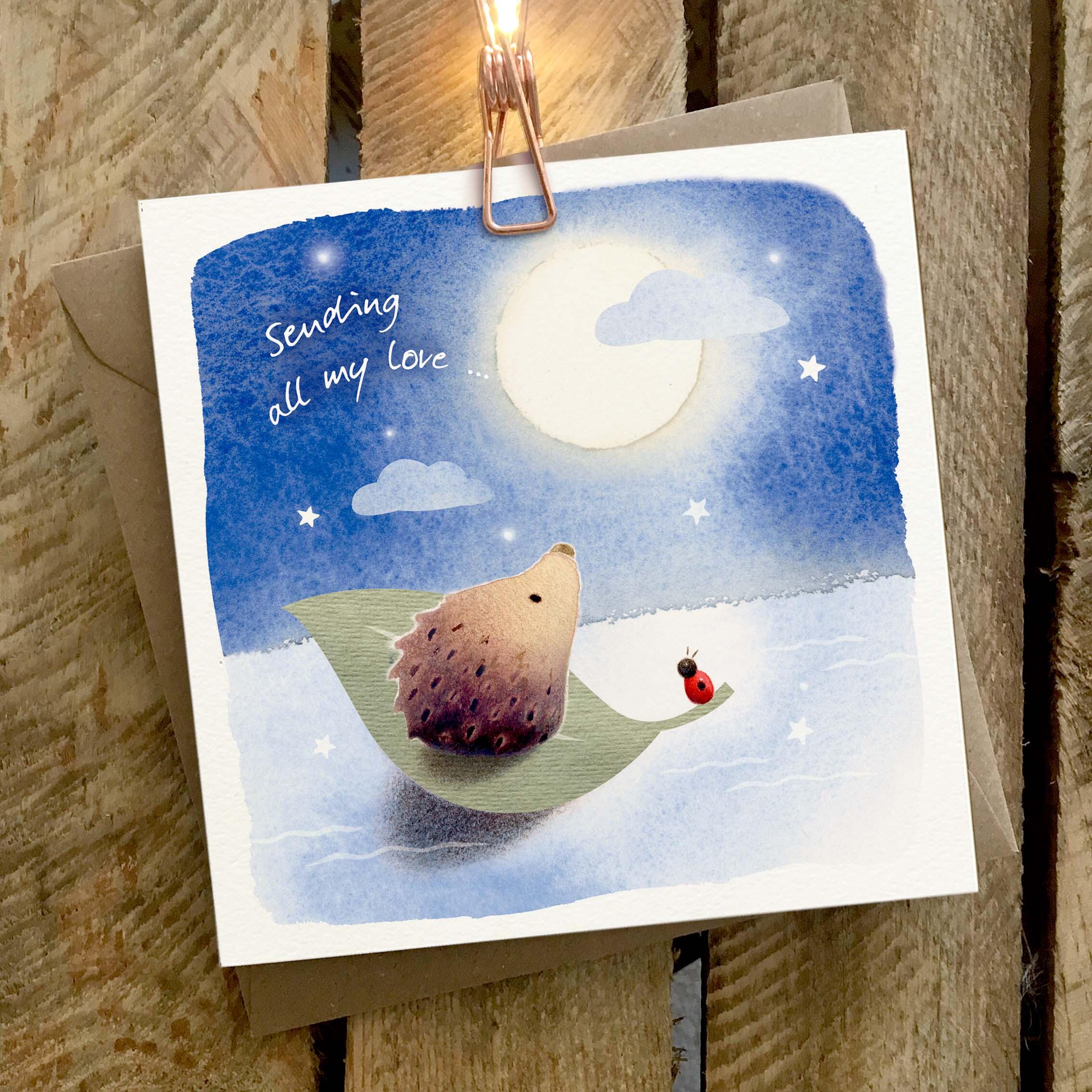 Greetings card featuring a hedgehog and ladybird on a floating leaf.