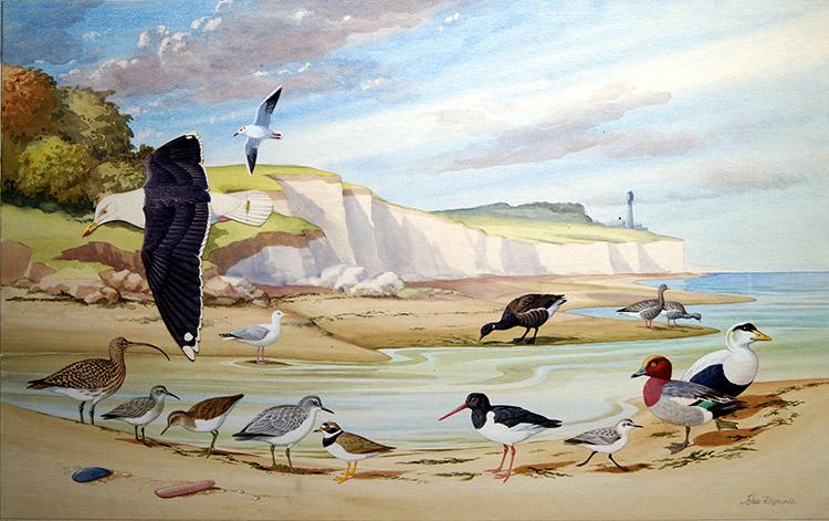 John Rignall at the Illustration Art Gallery