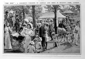 The Zoo In Regents Park (original page from The Sphere 1913) art by Fortunino Matania
