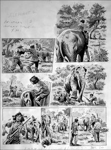 Elephant Boy - Over the River (TWO pages) art by Felix Carrion