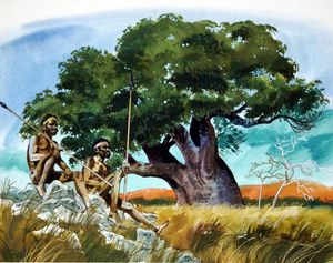 Baobab Tree art by Gordon Davies