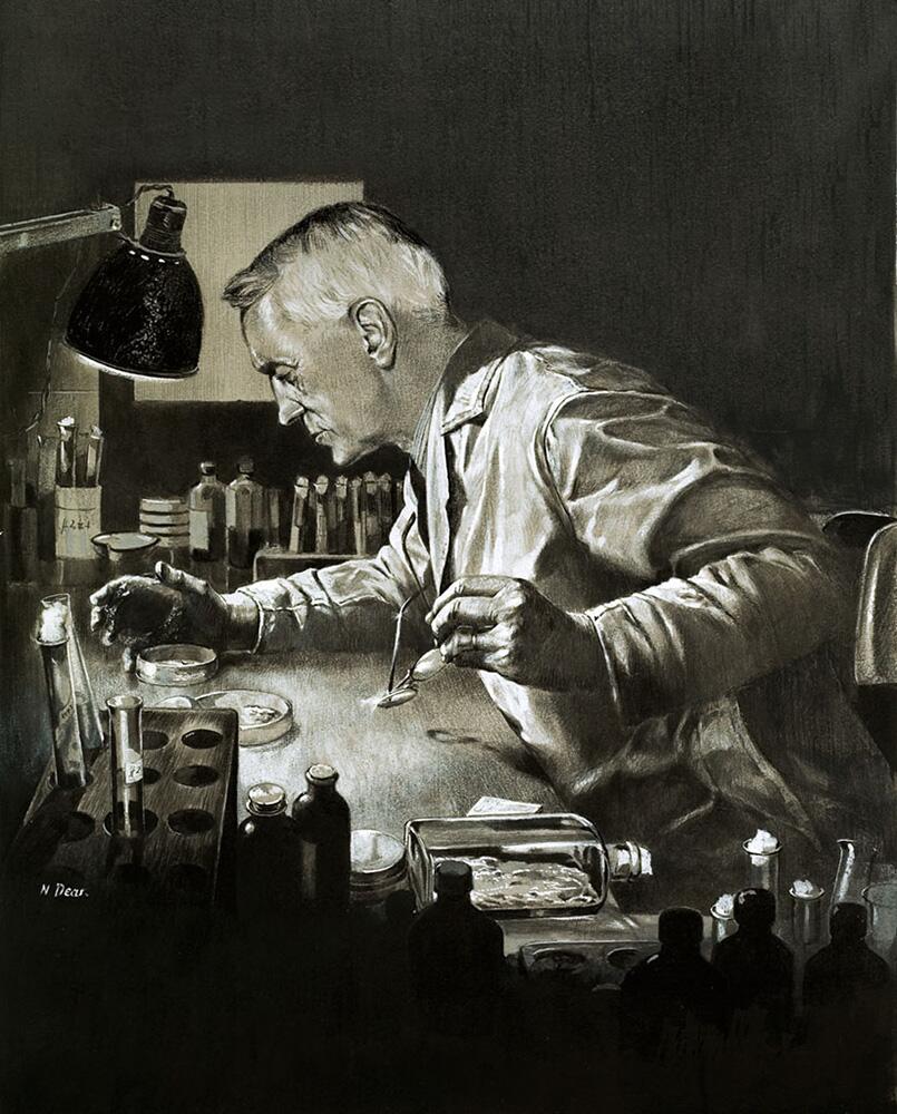 Alexander Fleming Discovers Penicillin art by Neville Dear