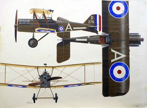 S.E.5a of the Royal Air Force art by Hasegawa