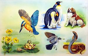 Animal Montage art by Bert Illoss