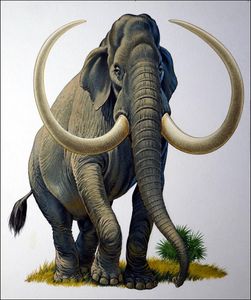 Imperial Mammoth art by Bernard Long