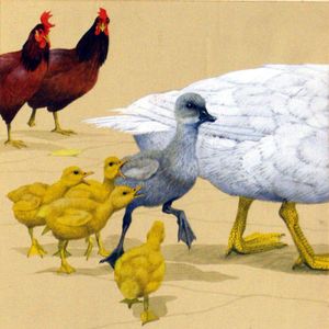 The Ugly Duckling (2) art by Kenneth Lilly
