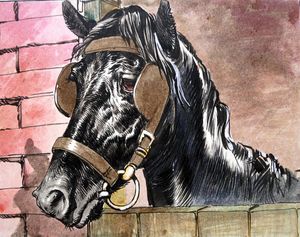 Black Beauty - Black Beauty art by Carlos Roume