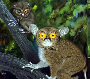David Nockels artist biography