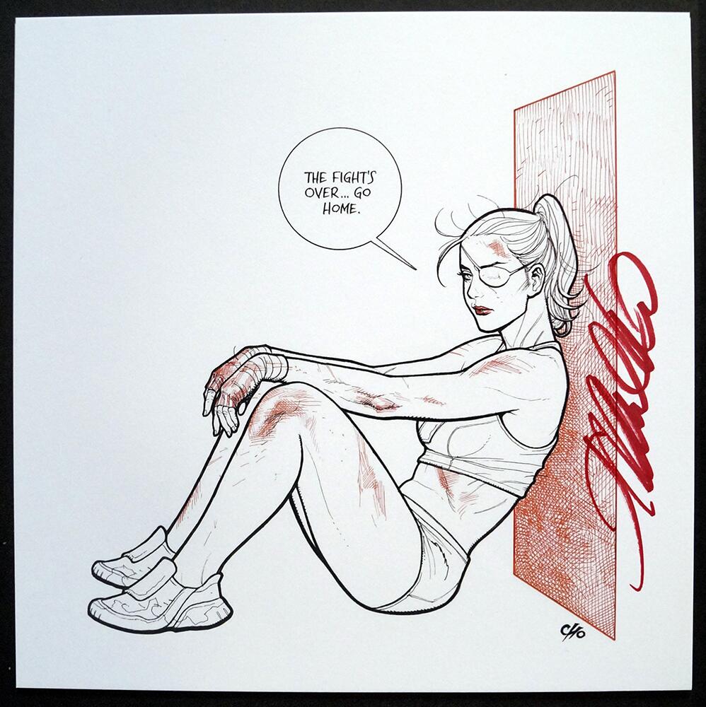 Fight Girls Bundle (French Language Edition) by Frank Cho
