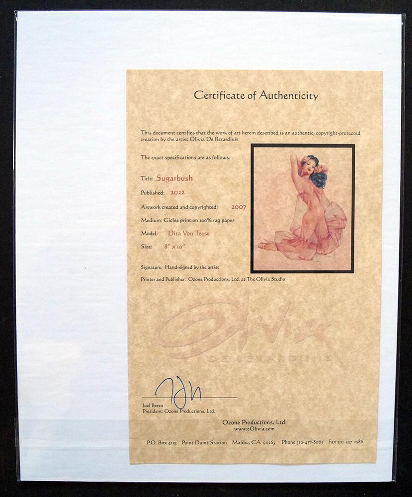 Certificate of authenticity art by Olivia (de Berardinis)