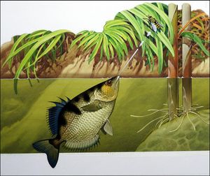 Archer Fish art by Bernard Long