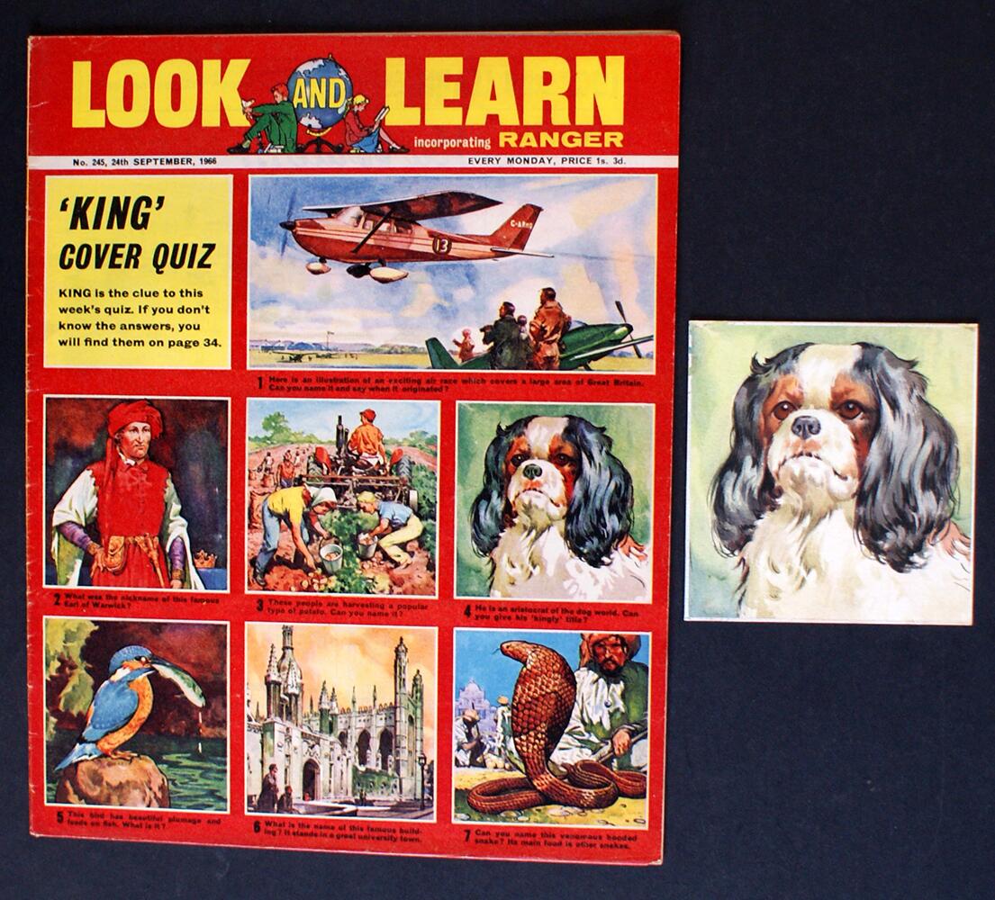 King George Spaniel art by James E McConnell