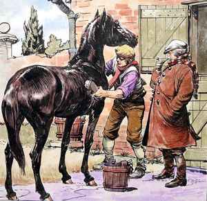 Black Beauty - Having A Wash art by Carlos Roume