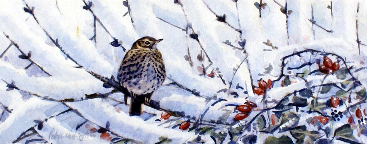 Peter Partington artist biography